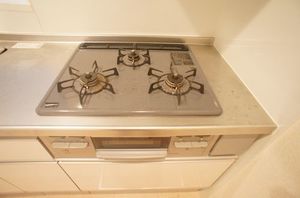 メゾン　モンドール 101号-6