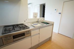 メゾン　モンドール 302号-5