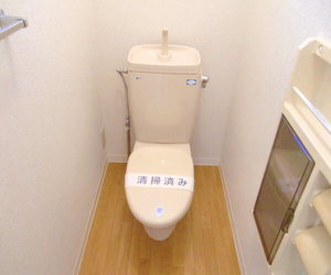 ライレイＢ 101号-8