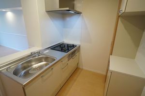 レフィシアＫ・Ｓ 202号-4