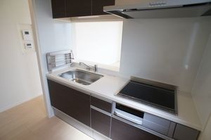 アリスティオ大南 201号-5