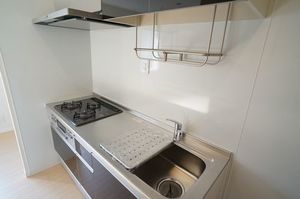 ＬＵＭＩＮＯＵＳ立石 302号-4