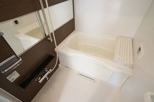 ＬＵＭＩＮＯＵＳ立石 302号-10