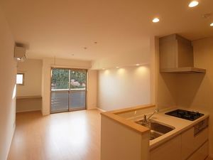 ライズ桜町 103号-2