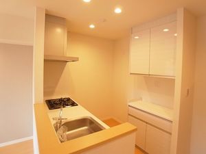 ライズ桜町 103号-6