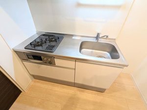 Ｇａｉａ　Ｖｉｌｌａ 101号-3