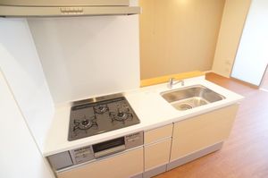 クラリス・Ｙ 301号-5