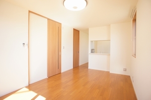 スカイマリーン　Ｂ 205号-2