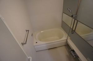 ミルティーユ 202号-8