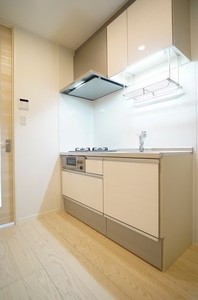 Ｐｌｕｍ　Ｈｉｌｌｓ　豪徳寺 302号-4