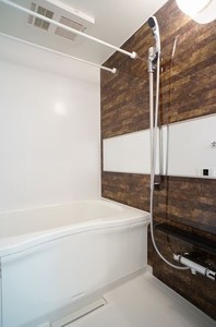 Ｐｌｕｍ　Ｈｉｌｌｓ　豪徳寺 302号-5