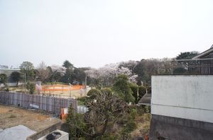 御留山テラス 202号-11