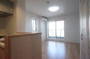 Ｃａｓｅｒｔａ 205号-2