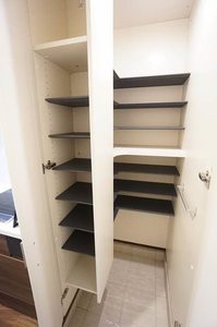 Ａｍｂｉｃｉａ　Ｄａｉｋｉ 102号-3