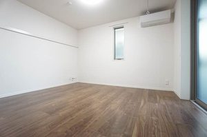 Ａｍｂｉｃｉａ　Ｄａｉｋｉ 102号-11