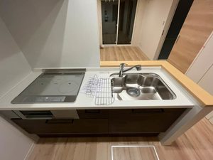 サンタクララ 103号-4