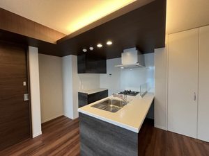 プルメリアコート阿佐ヶ谷 203号-2