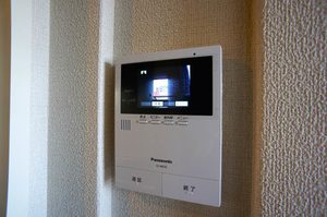 フェリシード 301号-5