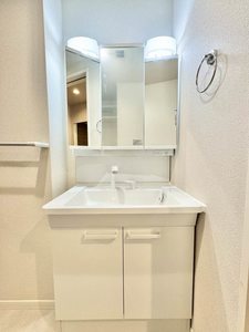 ディオーレ南台 301号-8