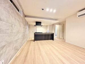 レオナグレイス 101号-3