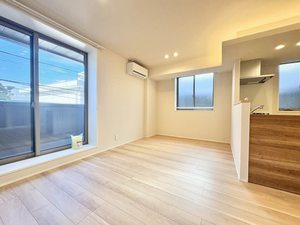 レオナグレイス 203号-3