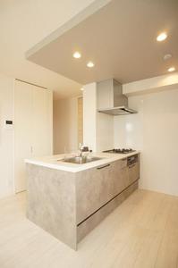 シャーメゾン ヴィステリオ 103号-4