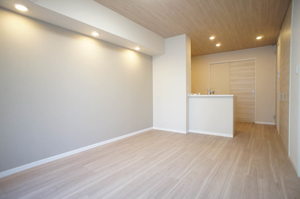 シャーメゾン ヌーヴェルメール 101号-2