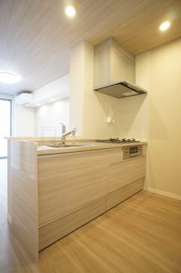 シャーメゾン ヌーヴェルメール 101号-4