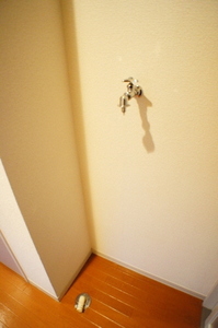 ピアコート MK A 105号-7