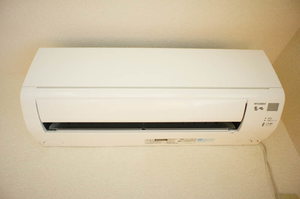 ゼルコバ　Ａ 102号-11