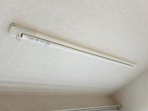 Ｆｌｏｒａ　Ｏｇｉｋｕｂｏ 101号-9