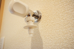 アザリー武蔵野 105号-11