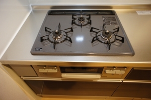 ラヴィアンローズ 202号-7