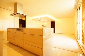 イルサン御殿山 302号-4