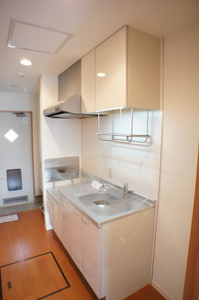 Amyris 207号-4
