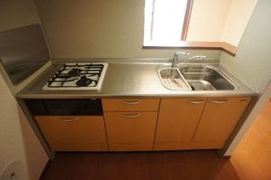 TERRA HOUSE 東大前 201号-3