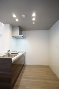 ラフィーネ恵比寿 303号-7