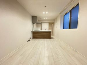 PiCCOLUCE 103号-3