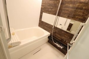 Ｍａｉｓｏｎ　Ｃｒｉｓｔａｌ西大井 101号-10