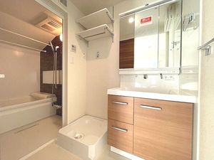 ブルームステージ西ヶ原 301号-8