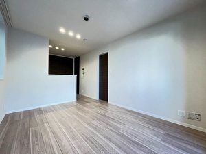 カーサ　レジオ 203号-10