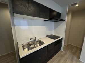 風香西新宿 102号-4