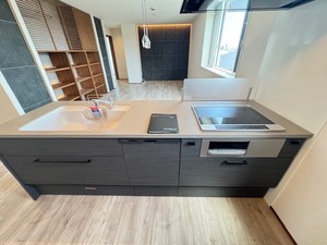 ドエルヤト・グランデ 301号-5