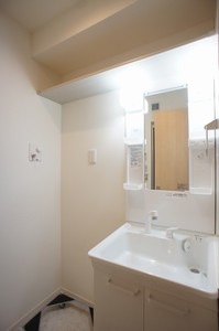 ルミナス・Ｋ 102号-9