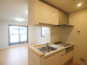 セレーナ石神井公園 201号-7