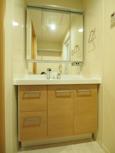 セレーナ石神井公園 201号-9