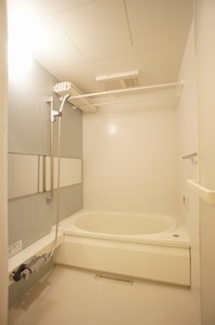 フォルトゥナート 302号-7