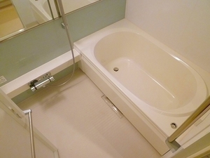 プルラフィーネ 301号-8