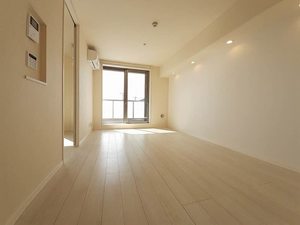 プルラフィーネ 303号-8