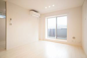 Ｖｉｔａ　Ｒｉｃｃａ　Ｖｅｒｏ V22号-2